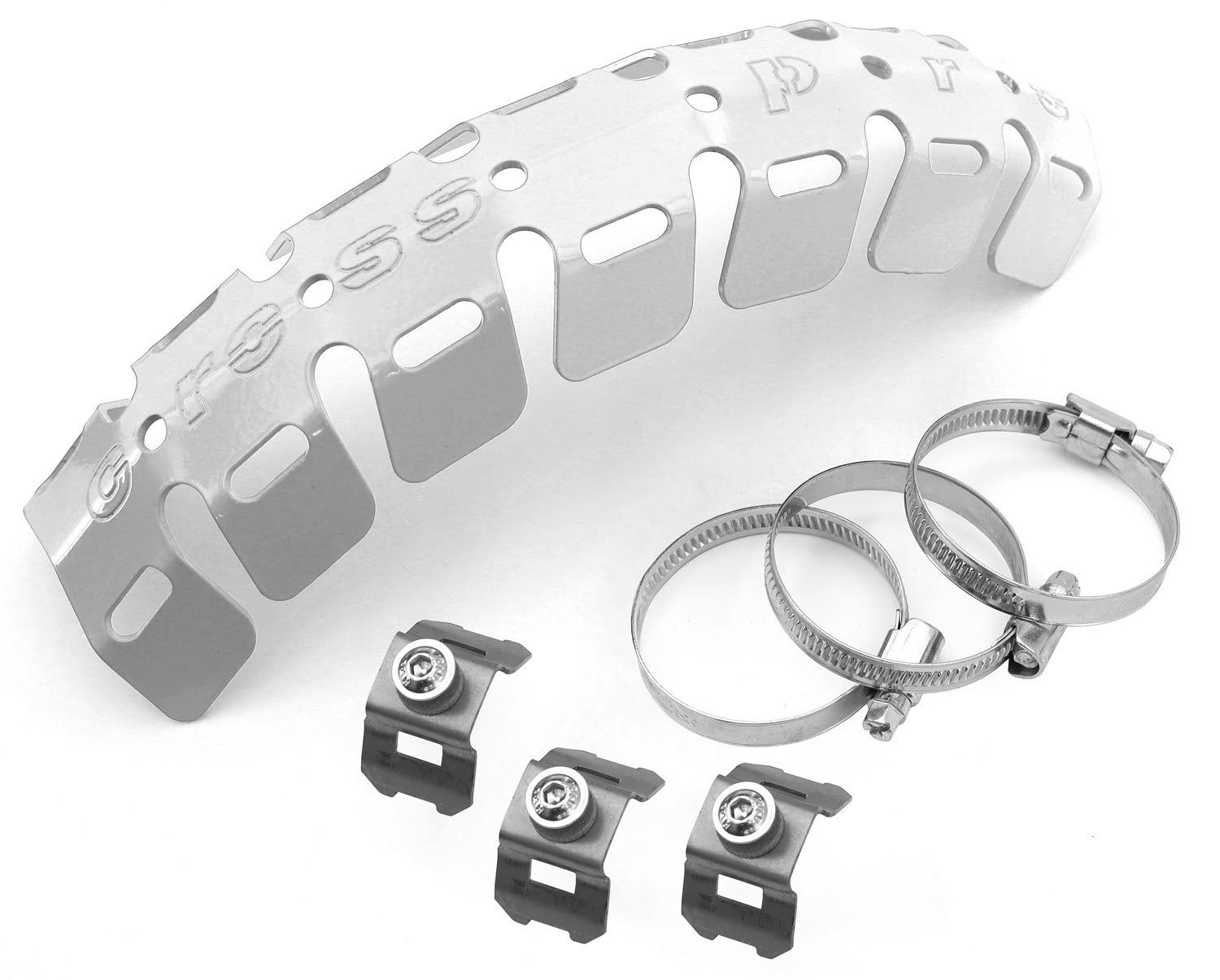 2CP07300030006.JPG - Exhaust Protection 4-Stroke EVO White